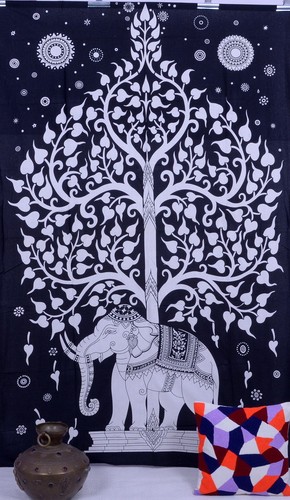 Elefante albero della - albero,