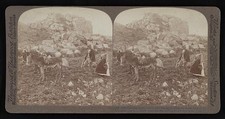 Foto:Siracusa Sicilia 1906