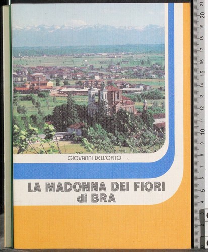 Madonna dei fiori - fiori, di