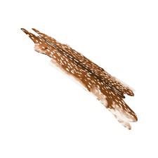  Tappeto Animalier Pad Di Terra Decorativa Cuscinetto Del Pavimento