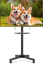 Supporto TV Mobile Su Ruote