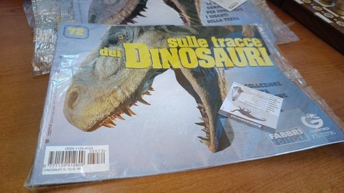 Sulle tracce dei - , n72