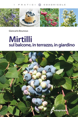 Mirtilli sul balcone in - balcone,,