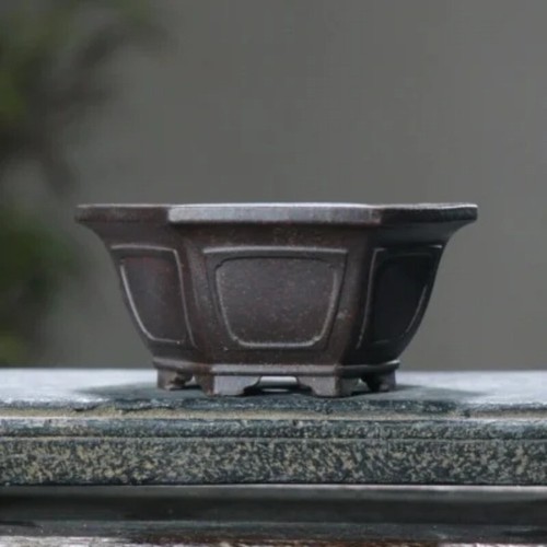 Vaso bonsai esagonale classico