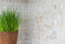 Mosaico di conchiglia specchio