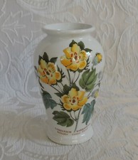 Vaso ceramica Portmeirion 1972 The Royal Botanic Garden Gossipium Barbadene