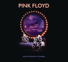 Pink Floyd Delicate Sound Of