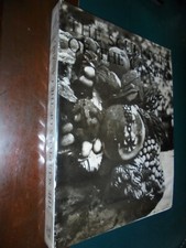 Barcellona G.S. - Pecoraino