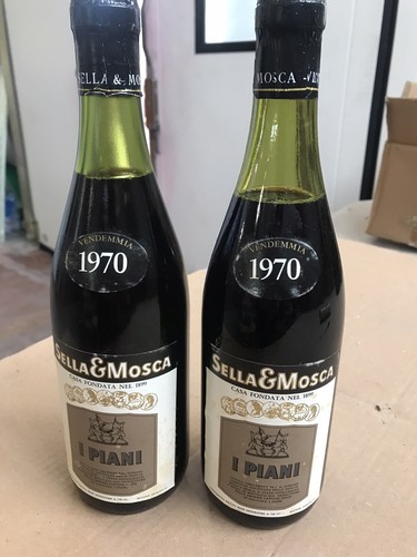 Vino sella mosca piani - i,