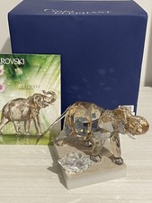 Swarovski SCS Cinta Annual