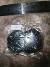 BELLISSIMO FOSSILE DI AMMONITE
