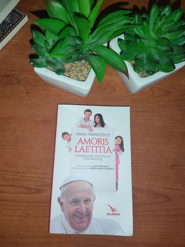 Libro papa francesco amoris - libro,