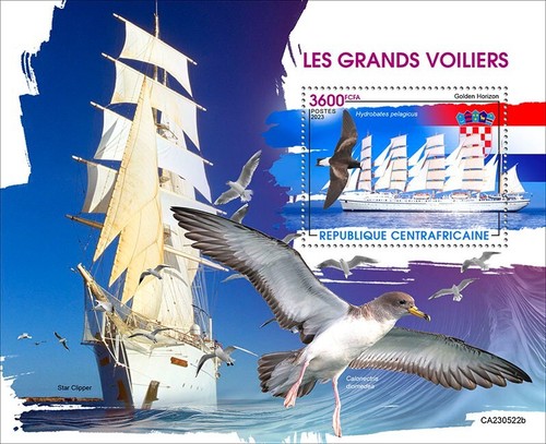 2024 central african - 2024/01,