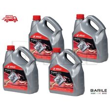 20 LITRI Olio EFCO PROSINT 2