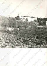 PIAN DI MUGNONE Fiesole