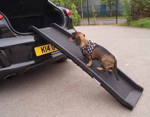 Rampa per cani animali - per,