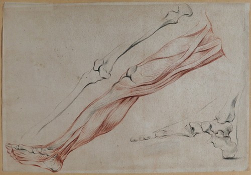 Disegno antico ante humain - disegno,