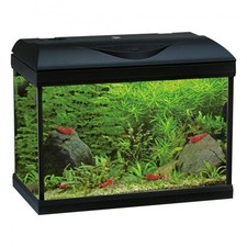 Acquario completo Amtra Basic