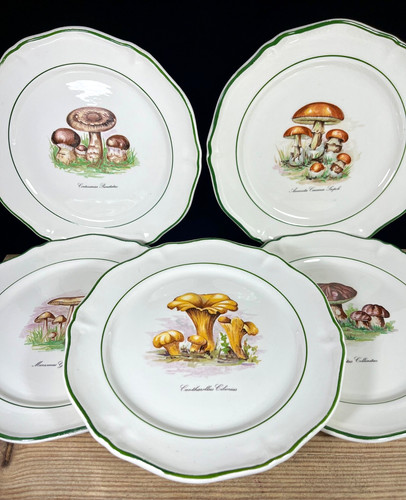 Set faiencerie saint - set,