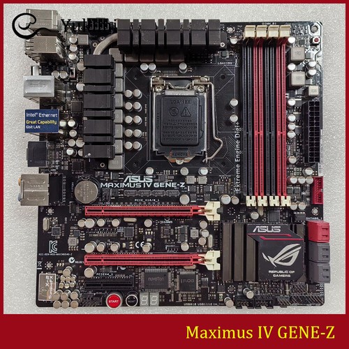 Per asus maximus gene - maximus, gene-z