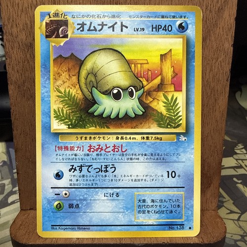 Omanyte set fossili - fossili, 138