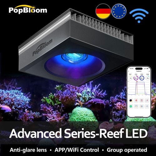 Popbloom rl90 rl115 - rl90, rl180