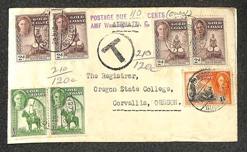 Costa oro 130 133 - d'oro,