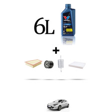 HOFFCAR Kit tagliando 4 FILTRI e 6L OLIO per Renault Megane III 2.0 16V RS 184Kw