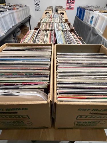 Lot randomly selected - 50,