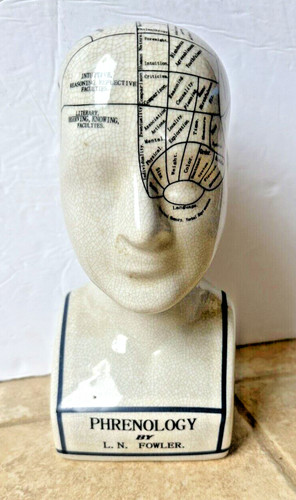 Statua testa frenologia - statua,
