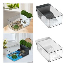 Piccola vasca per tartarughe