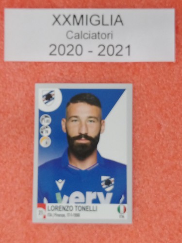 Figurine calciatori panini - figurine,