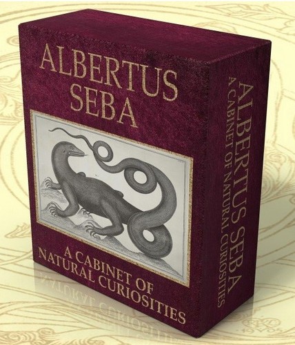 Albertus seba cabinet - seba, a