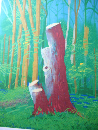 Litografia david hockney - litografia,