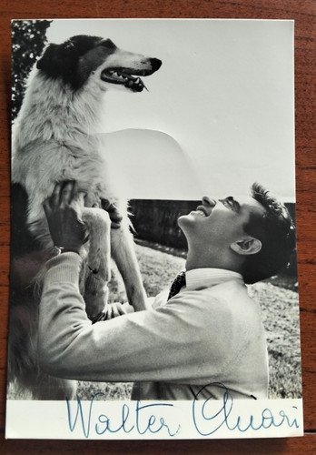 1950 fotografia autografata - fotografia,