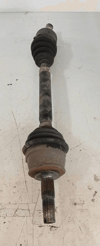 46308093 semialbero ant - semialbero, sx