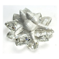 32091 Bomboniere Fermacarte Fiore Cristallo Stella Marina Conchiglie Mare Laurea