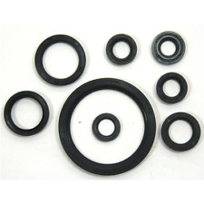 Serie paraolio motore per Moto