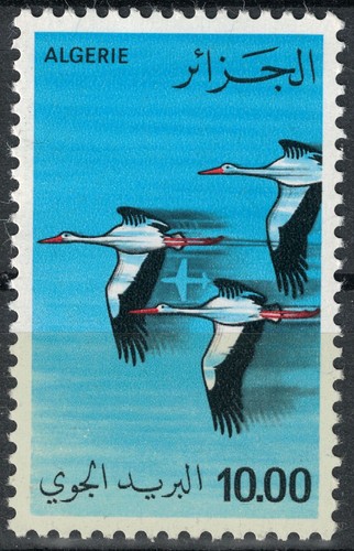 Algeria 1979 volo cicogne - di,