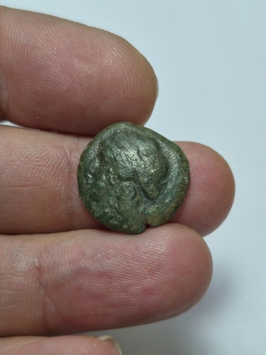Bronce campania neapolis - nt/,