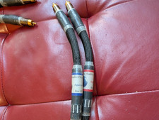 PURIST AUDIO DESIGN ACQUOSO