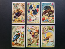 Caffè LAVAZZA Torino 1951 