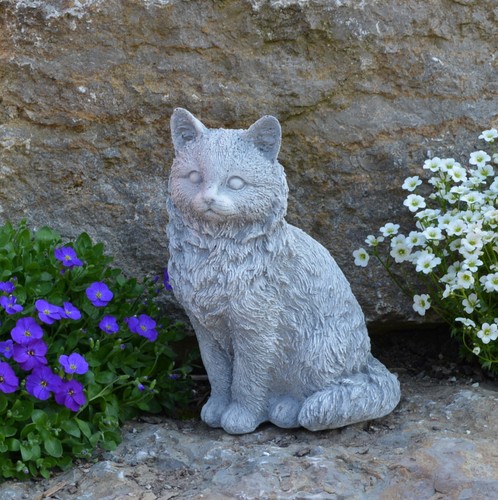 Gatto gattino - , in