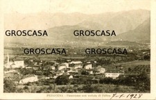 PEDAVENA - COD.C1284 -