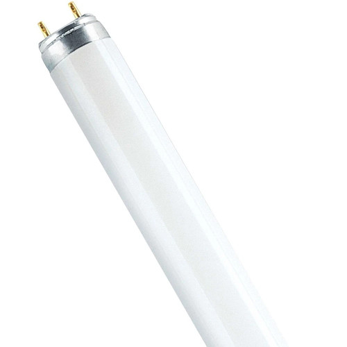 Tube néon osram lumilux cool - néon,