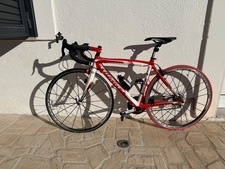 bici da corsa carbonio Wilier