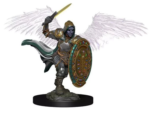 Maschio aasimar paladin - aasimar,