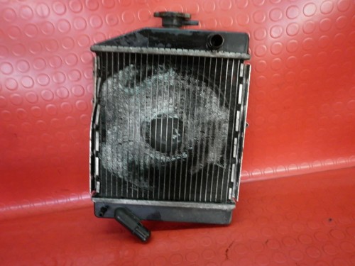 Radiatore acqua motore yanmar - acqua,