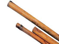 25 CANNe  bamboo bambù pareti