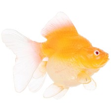  Decorazioni Acquario